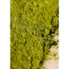 Matcha Ceremony Set
