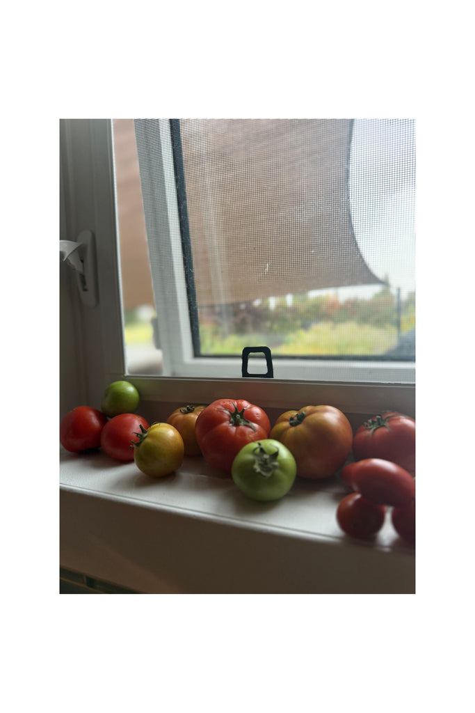 Dark Slate Gray Tomato Vine Foaming Handsoap