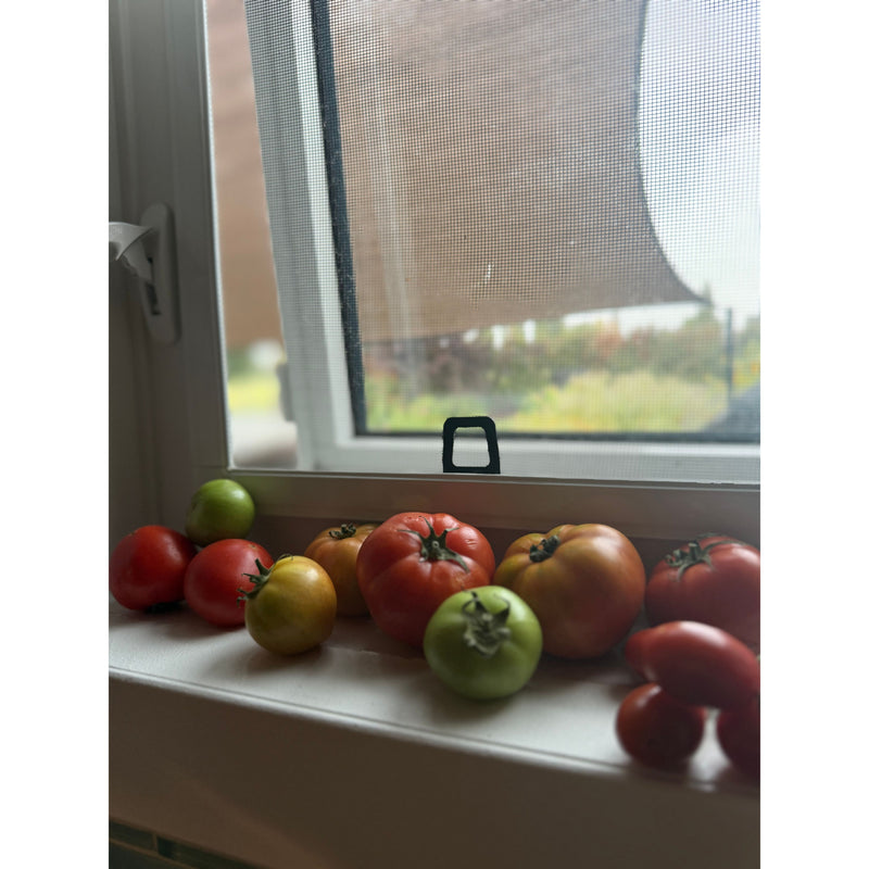 Tomato Vine Foaming Handsoap
