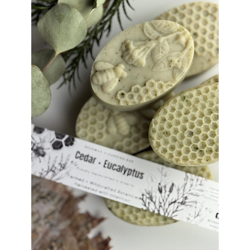 Cedar & Eucalyptus Bar Soap