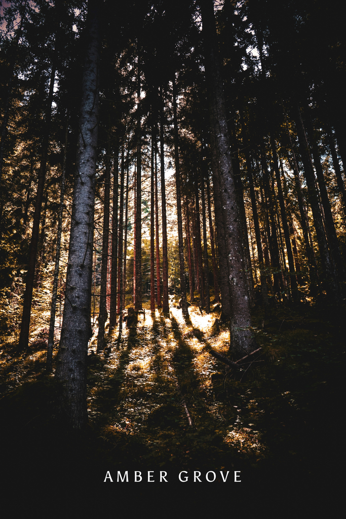 Black Amber Grove || Herbafume
