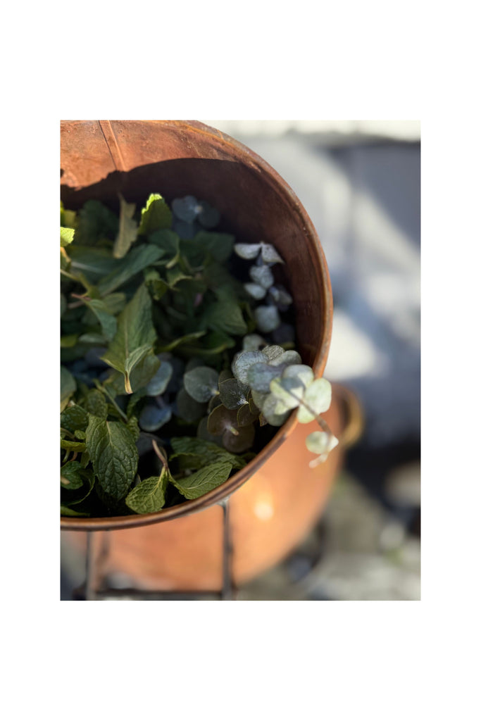 Dark Slate Gray Botanical Mists || Rosemary,Lavender, Eucalyptus