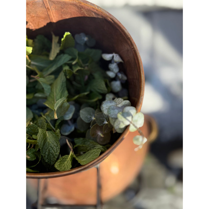 Botanical Mists || Lavender, Eucalyptus, Rosemary