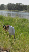 Sweetgrass [Field Note] Hydrosol